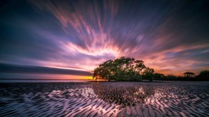 beach cloud formation clouds dawn